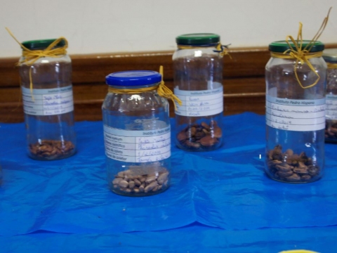 Diferentes sementes armazenadas nos respetivos frascos etiquetados.